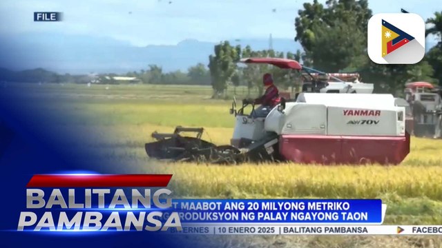D.A., target maabot ang 20-M metriko toneladang produksyon ng palay ngayong taon