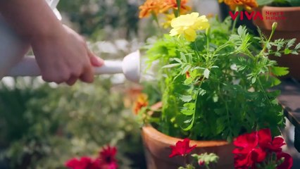 Jomblo Merapat! Romi Lacatan, Robot AI Bisa Isi Hari-harimu