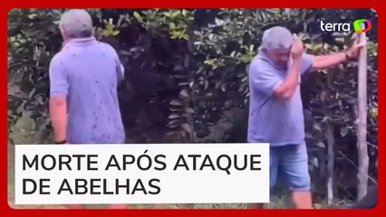 Ex-vereador morre após ataque por abelhas no Ceará
