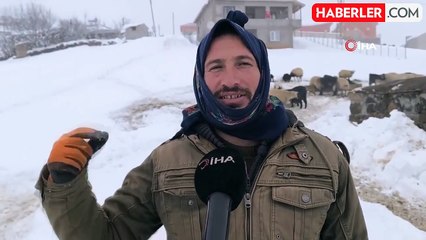 Muş'ta Besiciler Karla Mücadele Ediyor