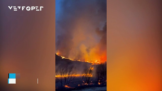 Fires in Los Angeles (California) burn more than 14500 hectares