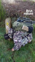 Sur les traces d’un animal emblématique