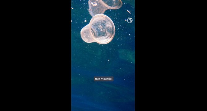 Clarisse Crémer, participante au Vendée Globe, nous parle d’écologie dans la navigation