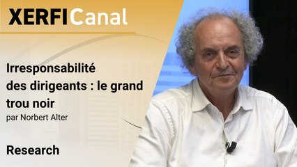 Irresponsabilité des dirigeants : le grand trou noir [Norbert Alter]
