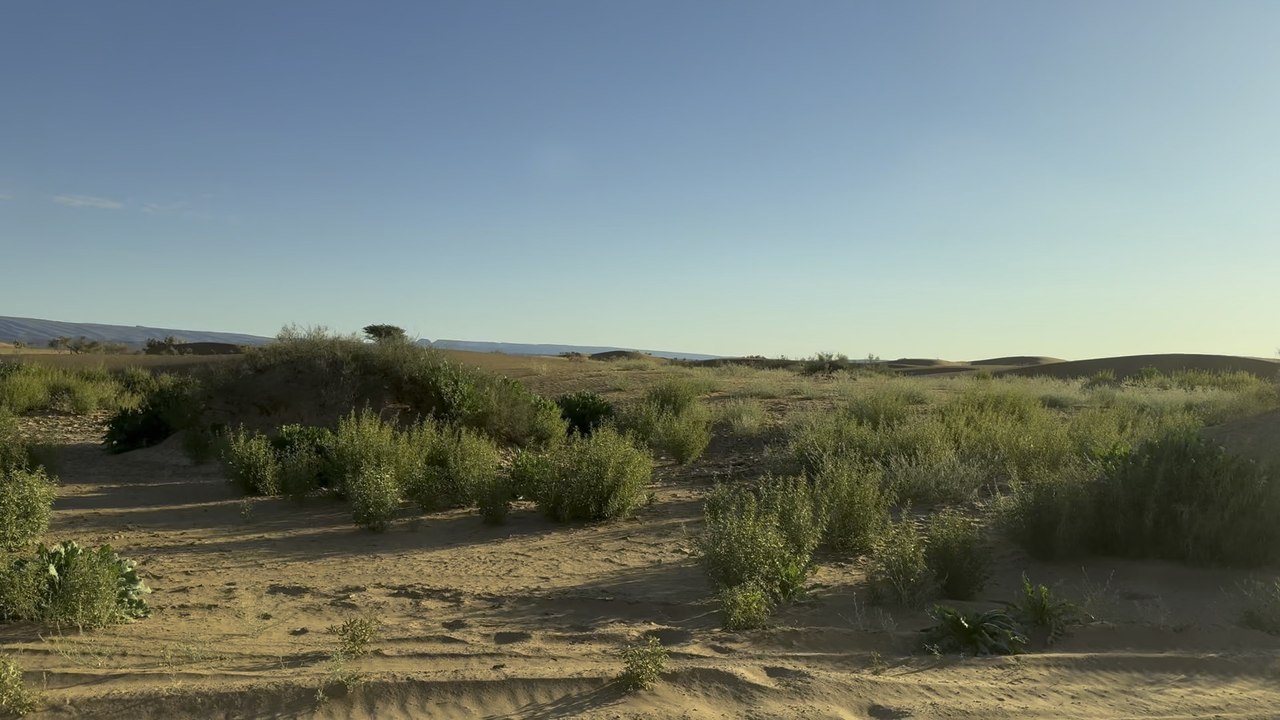 Sand & Green