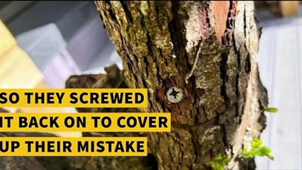 Cowboy builder lost customers £200,000