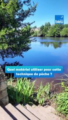 Pêche de la perche et du chevesne au microjig