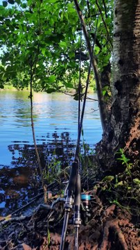 Pêche du brochet aux leurres
