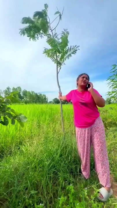 Funi videos