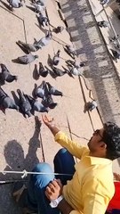 Maharashtra mahalaxmi temple