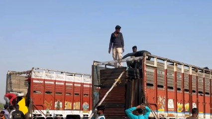 प्रशासन से स्वीकृति निरस्त होने के बाद रविंद्रसिंह भाटी का "रोहिडी म्यूजिक फेस्टिवल" अब होगा यहां , जानिए