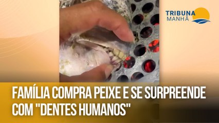 Família compra peixe e se surpreende com "dentes humanos"