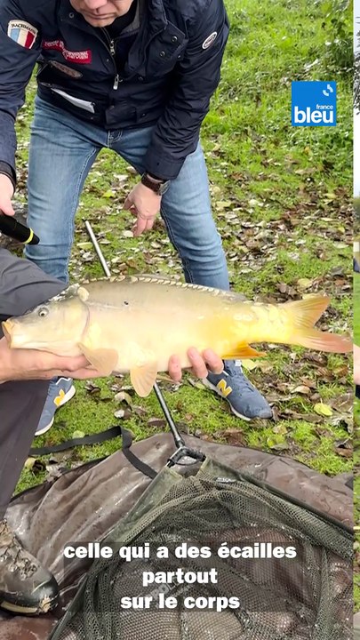 Pêche de la carpe au lac d'Uzurat