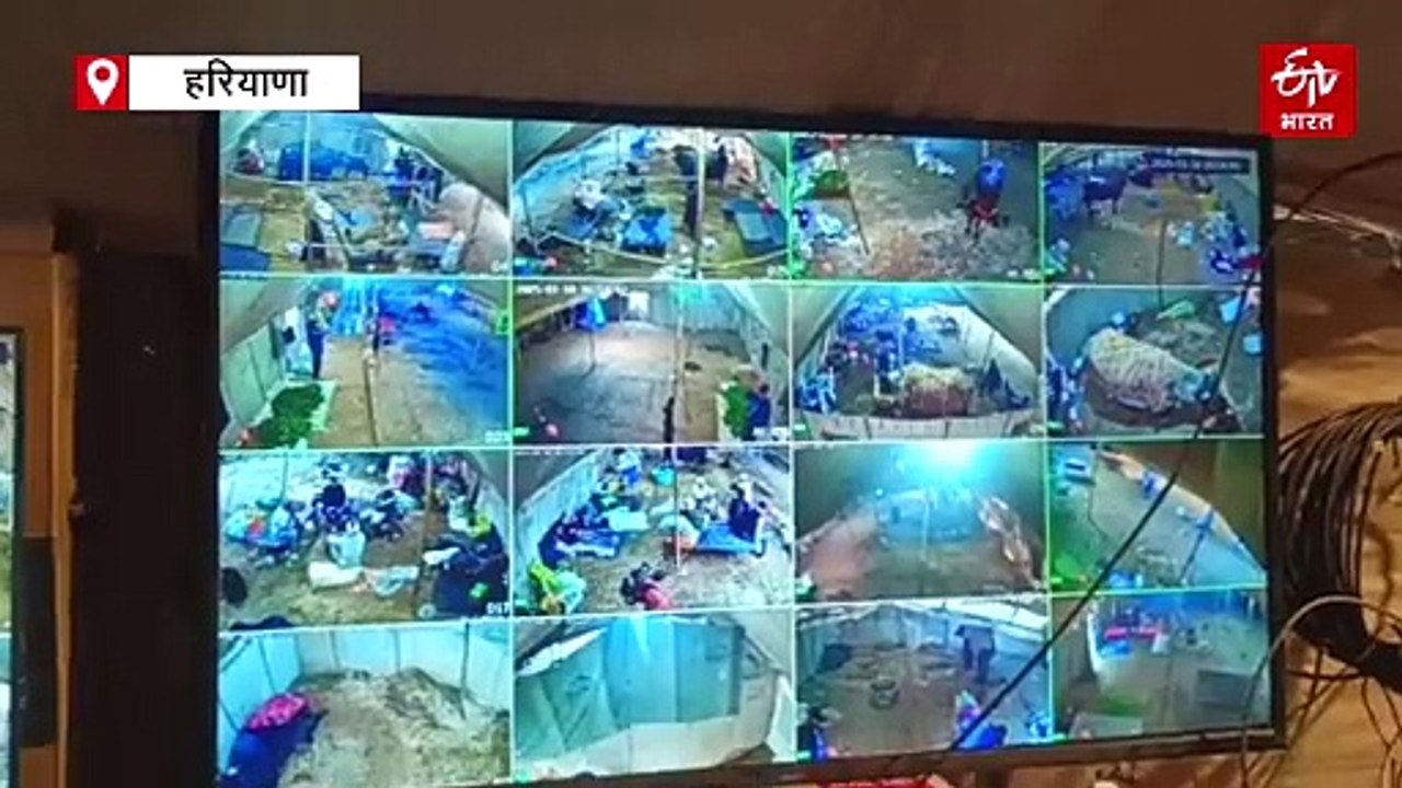 कुरुक्षेत्र पशु मेले में निर्णायक मंडल के फैसले से आक्रोशित युवकों ने की फायरिंग, मौके पर मच गई अफरा-तफरी