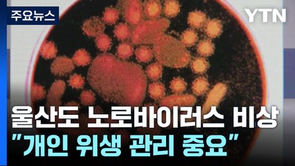 울산도 노로바이러스 비상..."개인 위생 관리 중요" / YTN