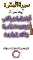 Al-Quran - Surah 2 - Al-Baqara - Ayah 3 | islamic shorts | surah baqarah | hafiz salman ali