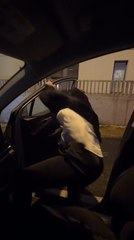Woman Struggles to Close Car Door