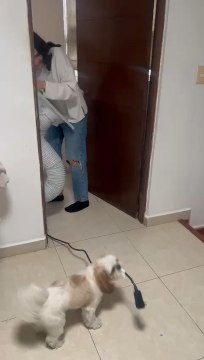 Dog Helps Owner Carry Power Cable