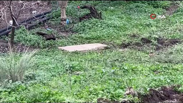 Tarlayı sürerken buldu, gözlerine inanamadı!