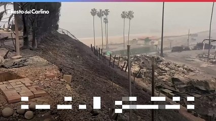 Incendi a Los Angeles, distrutta la casa dell'imprenditore bolognese: il video choc