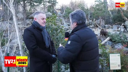 Weihnachtsbaum des Weihnachtsmarkts Schloss Schönbrunn wird zum nadeligen Frühstück