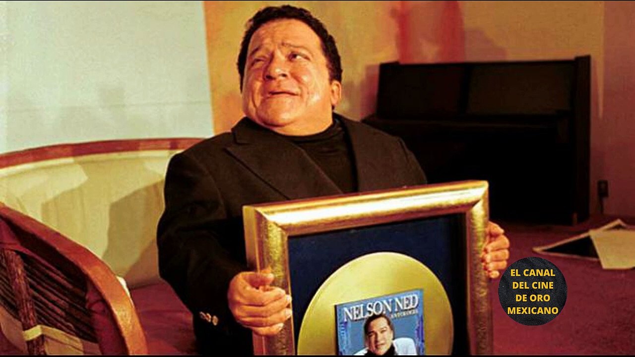 02097CCM NELSON NED terminó SOLO y en el ABANDONO