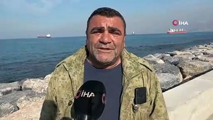 Gemiden düşen angus yüzerek kaçmaya çalıştı! O anlar kamerada