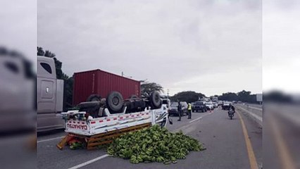 Camión cargado de guineos se vuelca en autopista Duarte