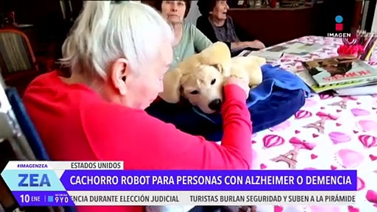 Crean cachorro robotizado para personas con demencia
