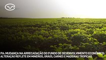 Pará: mudança na arrecadação do Fundo de Desenvolvimento Econômico (FDE)