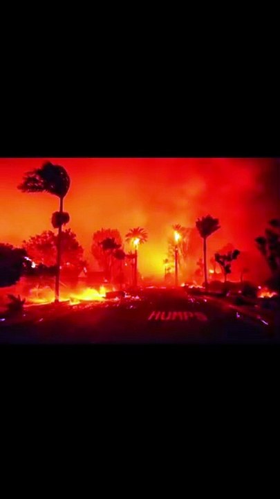How Los Angeles looking after the wildfire 2025