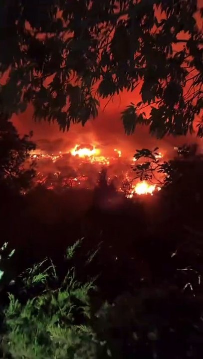 Devastation in the City of Angels: The Los Angeles Wildfire Crisis
