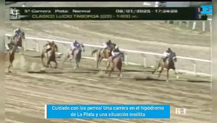 ¡Cuidado con los perros! Una situación insólita durante una carrera en el Hipódromo de La Plata