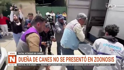 Darán cachorros en adopción