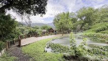 Laguna Lodge: un refugio de naturaleza y tranquilidad a solo 45 minutos de San José