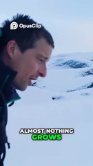 Emperor Penguins_ A Battle for Survival in the Arctic Partie 6(HD)