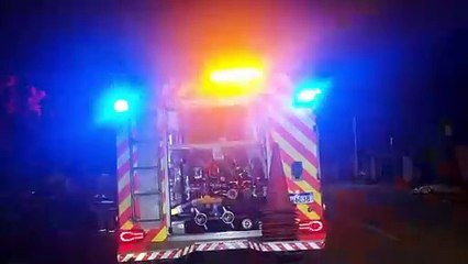 Mais uma! Serpente é resgatada em banheiro de residência no Riviera