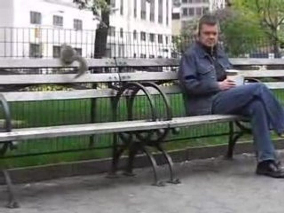 Notre pote Mr l'Ecureuil :D