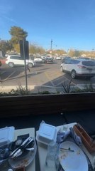 Woman Stumbles and Falls Backward Into Plants While Delivering Her Speech