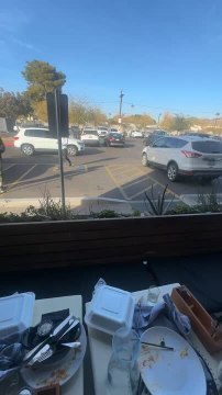 Woman Stumbles and Falls Backward Into Plants While Delivering Her Speech