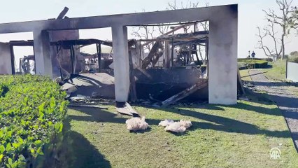 Los Angeles'taki orman yangınları 5 ayrı noktada sürüyor