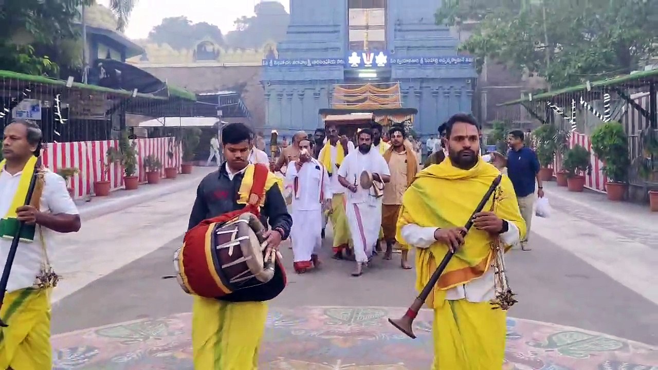 Ap_vsp_67_11_ Simhadri _mahotsavlu_av_ap10145