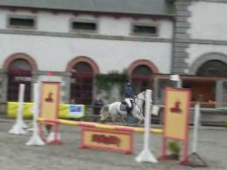 Loupiot Lamballe 2008