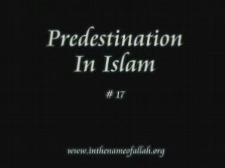 17 Idiots Guide to Islam- Predestination in Islam - Part 17