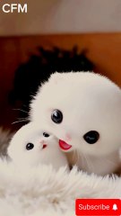 Copyright free music #FREE Music for Your Videos!#No copyright issue for your videos