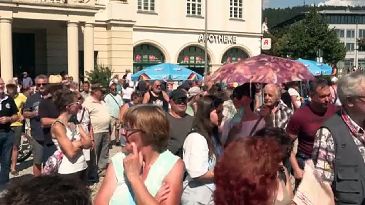 Kurz erklärt: Das Wahlprogramm der AfD