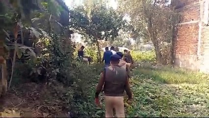 बुजुर्ग दंपति की गला काटकर बेरहमी से हत्या