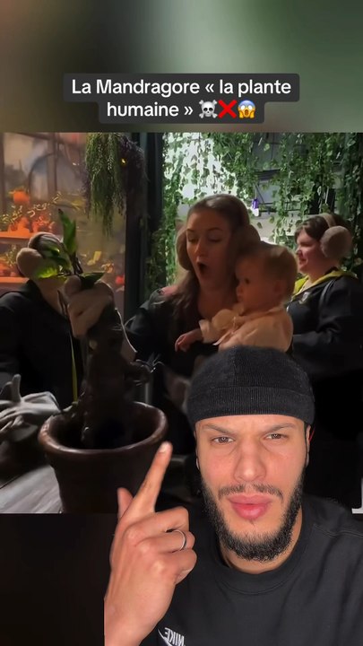 La mandragore