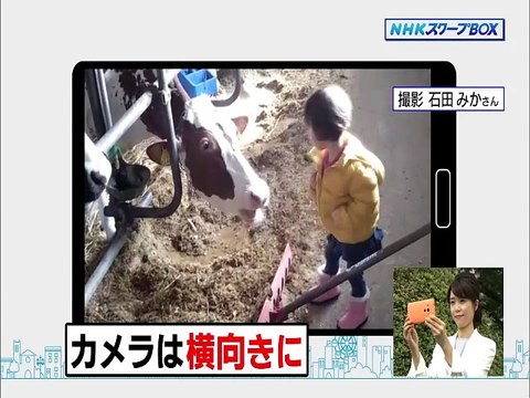 NHK甲府 山梨県のニュース・気象情報 (G1) - 2022年04月02日（土） 1855 [1080p]