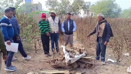 टाइगर और पैंथर में वर्चस्व की लड़ाई, पैंथर की हुई मौत, जंगल से बरामद हुई लाश, वन विभाग ने पोस्टमार्टम कर किया अंतिम संस्कार